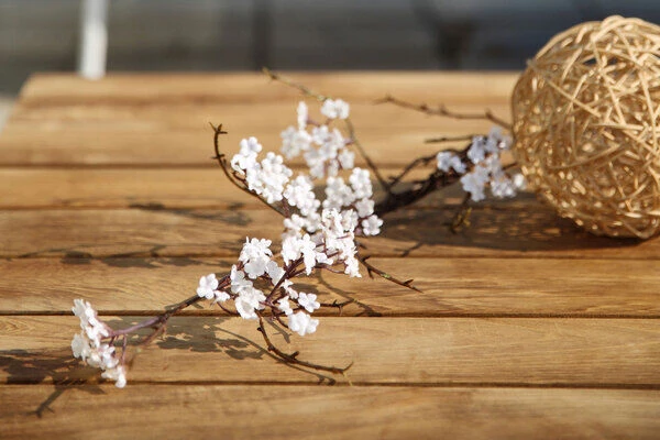 OUTFLEXX Vail Loungemöbel, Weiß/natur/actionlinen, Alu/FSC-Teakholz/Sunbrella, Für Bis Zu 7 Personen, Seitenablagen Aus Teak 13 OUTFLEXX Vail Loungemöbel, Weiß/natur/actionlinen, Alu/FSC-Teakholz/Sunbrella, Für Bis Zu 7 Personen, Seitenablagen Aus Teak – Bild 11