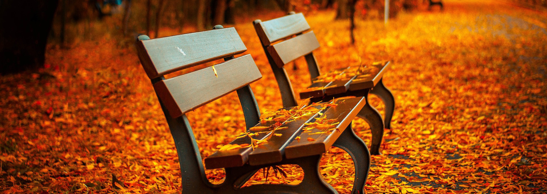 Gartenmöbel 19 Gartenmöbel -Gartenmöbel benches 560435 1920